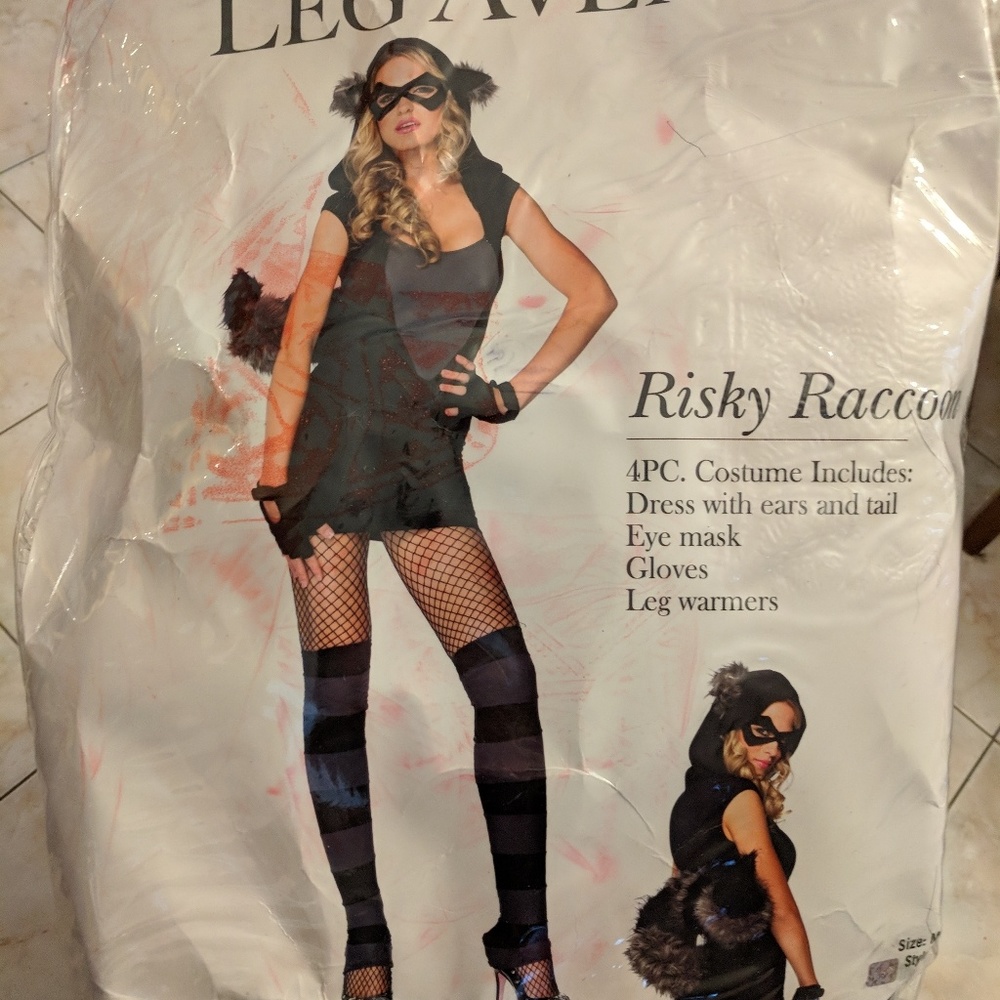 Risky Raccoon Costume